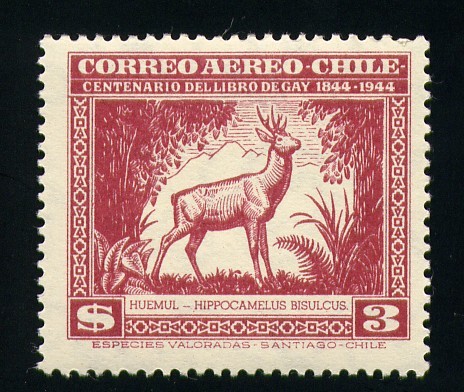 Huemul