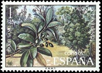 ESPAÑA 1973 2120 Sello Nuevo Serie Flora Barbusano Apolloneis Canariensis
