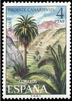 ESPAÑA 1973 2122 Sello Nuevo Serie Flora Palma Phoenix Canariensis