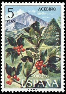 ESPAÑA 1973 2123 Sello Nuevo Serie Flora Acebiño Ilex Canariensis