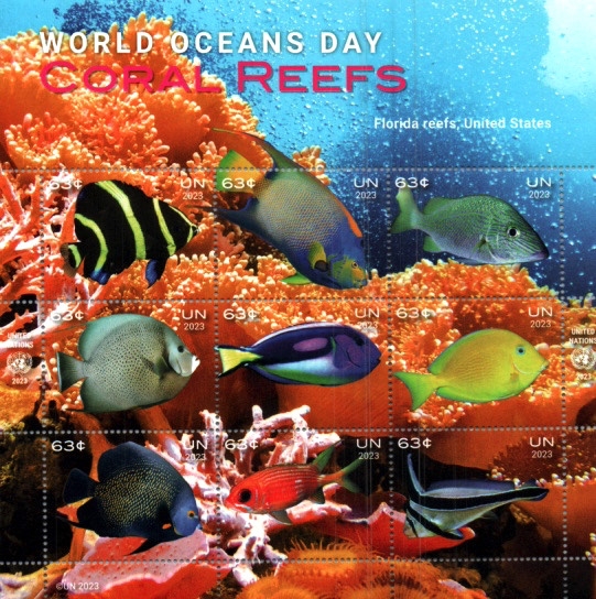 Día intern. de los océanos- Arrecifes de Florida
