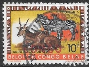 congo