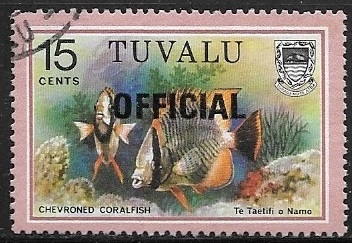 peces - Chevroned Coralfish