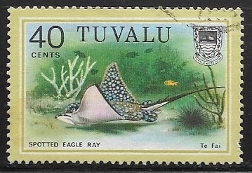 Peces - Spotted Eagle Ray