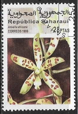 Orquideas