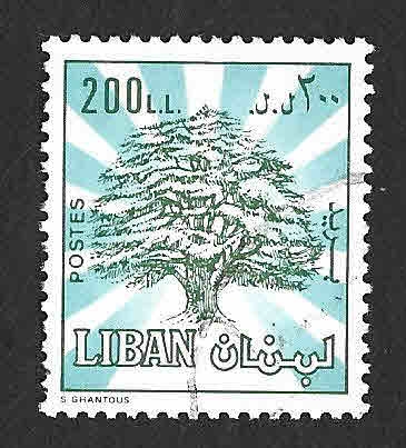 500 - Cedro del Líbano