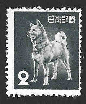 1622 - Perro de Akita