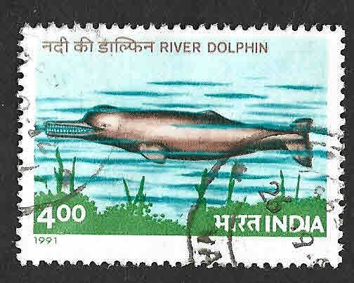 1348 - Delfín del Ganges