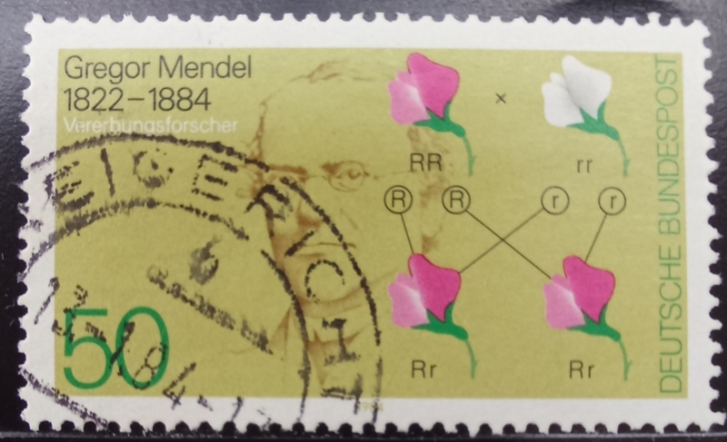 Alemania