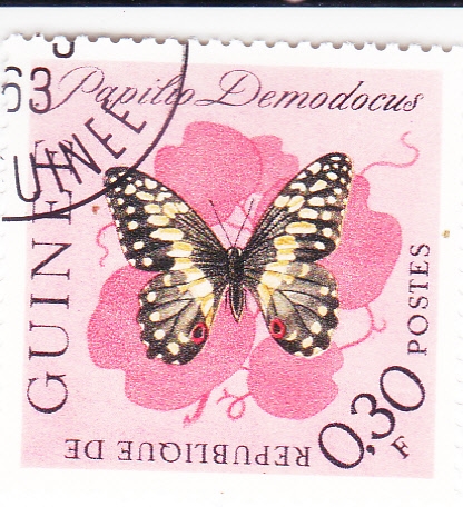 Mariposa