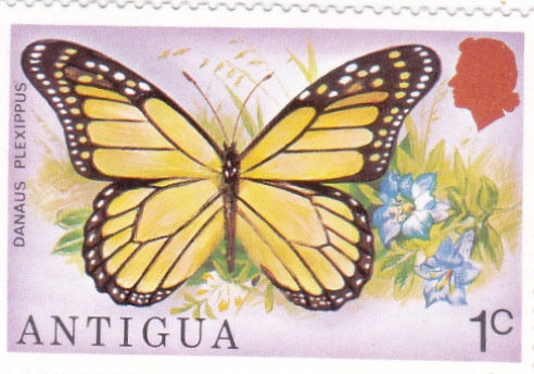 Mariposa