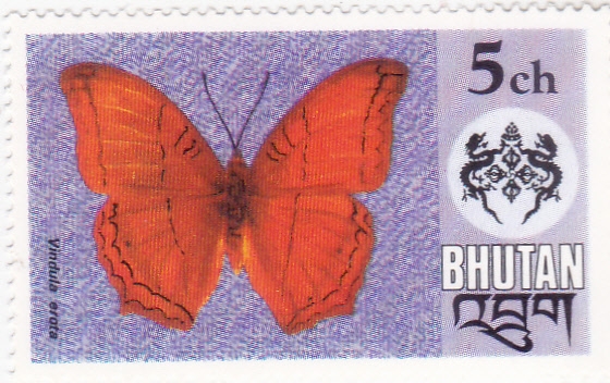 Mariposa