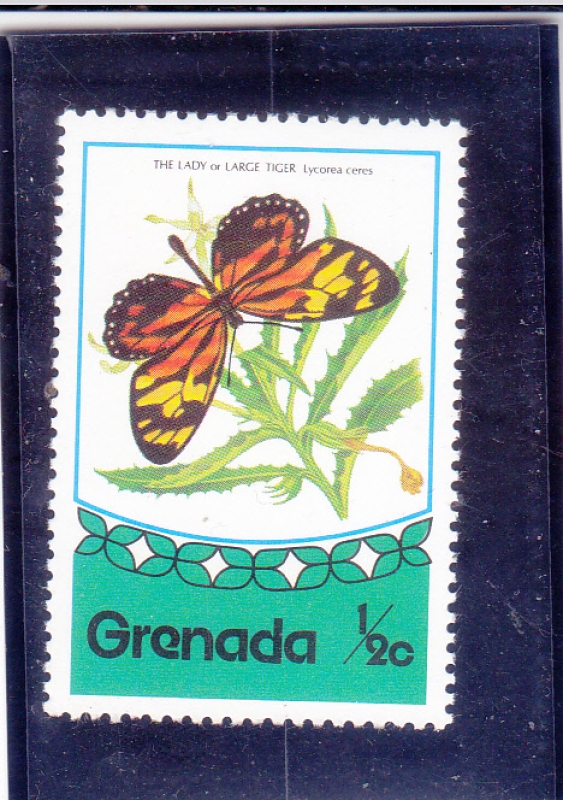 Mariposa