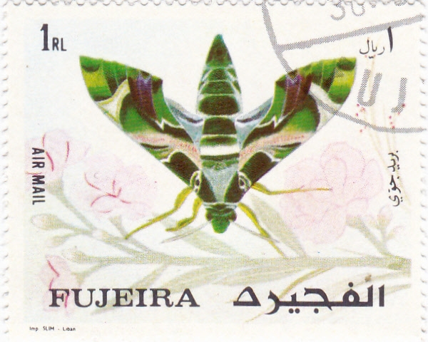 Mariposa