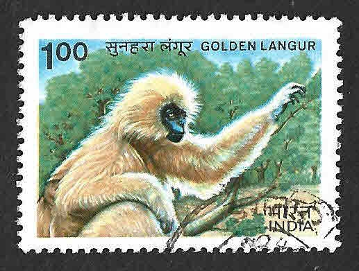 1029 - Langur Dorado