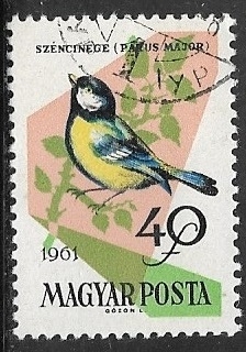 Aves -Parus major
