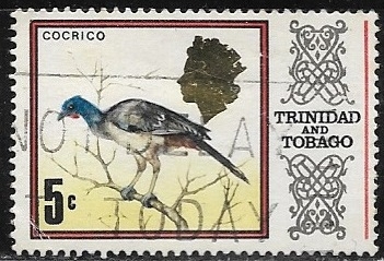 Aves - Cocrico