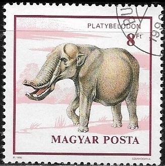 Animales prehistoricos - Platybelodon