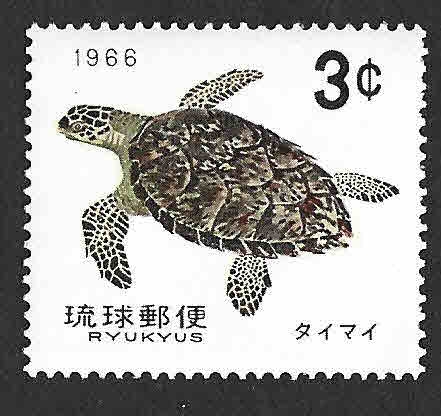 137 - Tortugas de Ryukyu (Islas de Ryukyu)