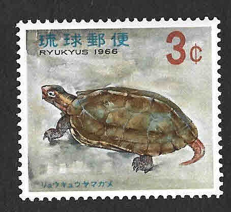 138 - Tortugas de Ryukyu (Islas de Ryukyu)