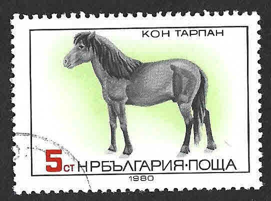 2741 - Tarpan