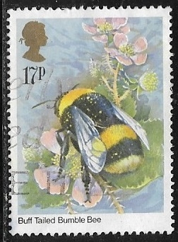 Abejas