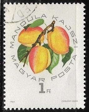 Frutas - Albaricoque 
