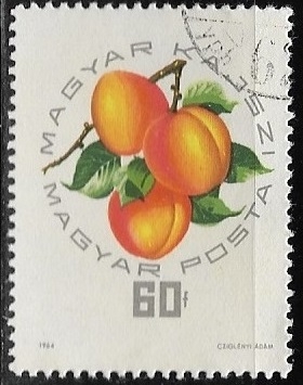 Frutas - Albaricoque