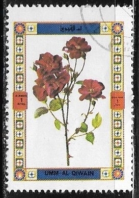 Flores - Rosas