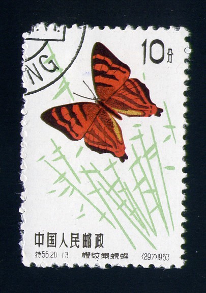 Mariposa