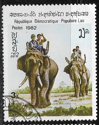 Elefantes - Asian Elephant