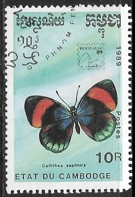 Mariposas - Calithea sapphira