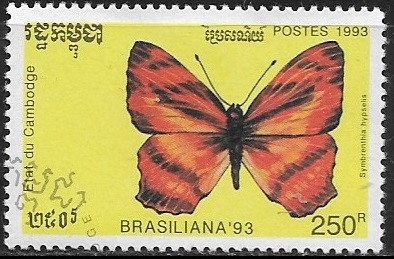 Mariposas - Symbrenthia hypselis