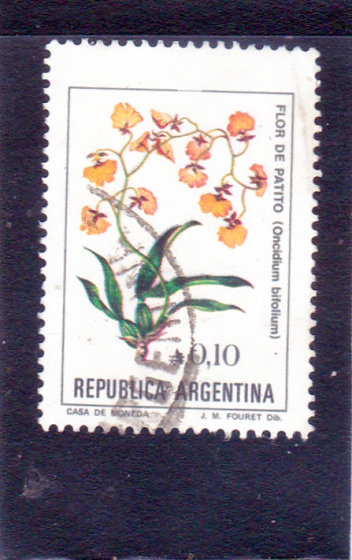 FLORES- flor de patito