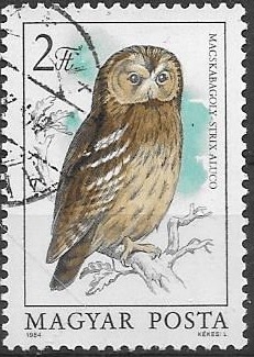 aves