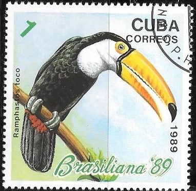 aves