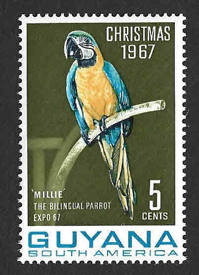 33 - Guacamayo Azulamarillo