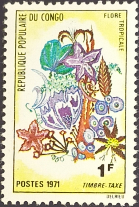 RESERVADO NELLIDA FERNANDEZ