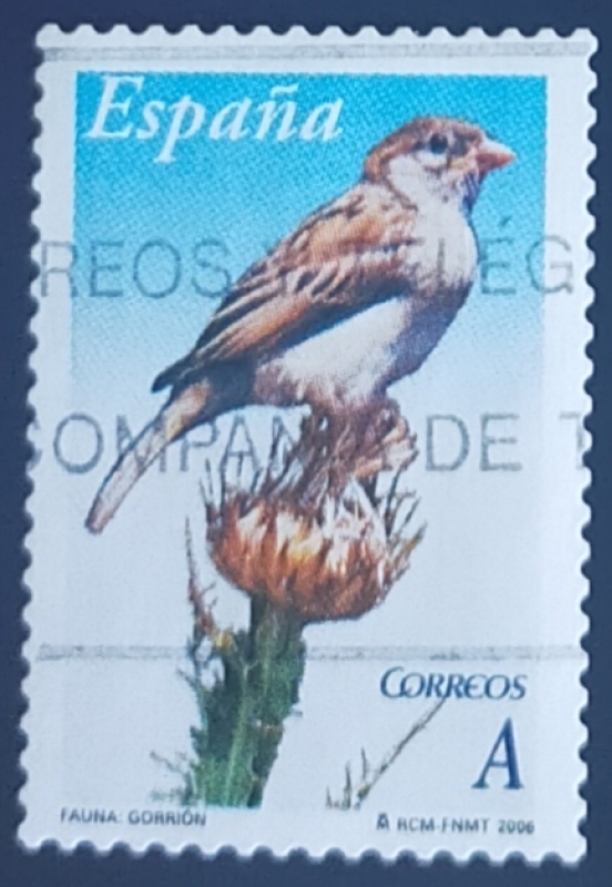Edifil 4213