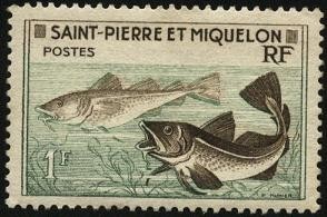 Peces Bacalao.