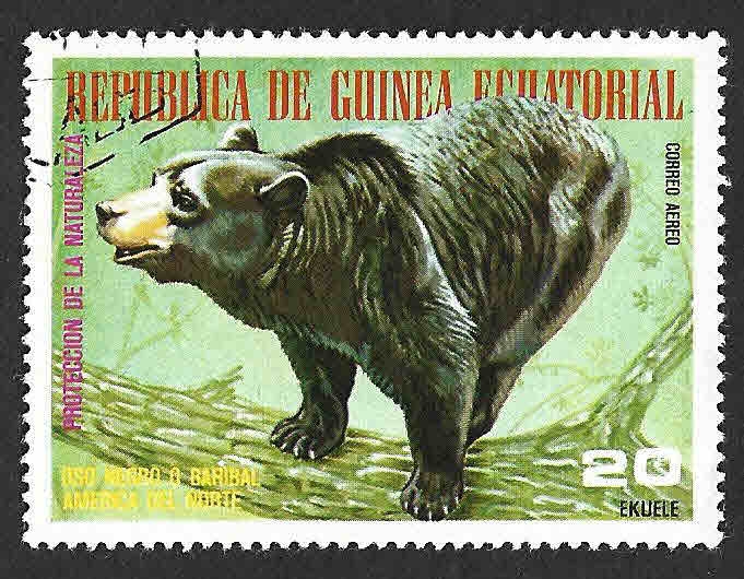 77-58 - Oso Grizzly