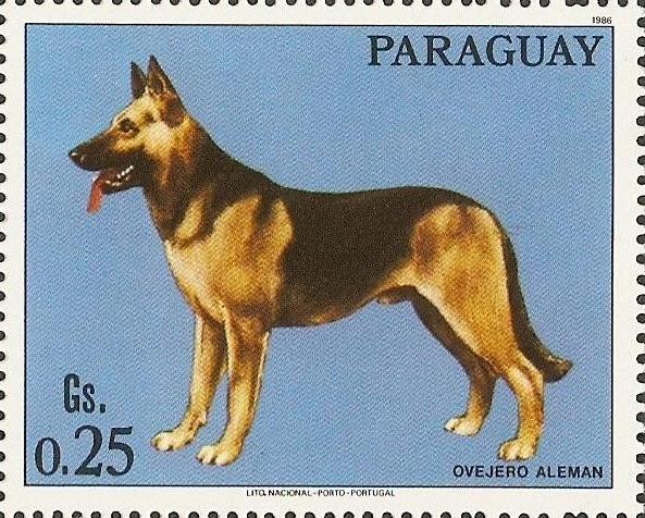 Perros de raza