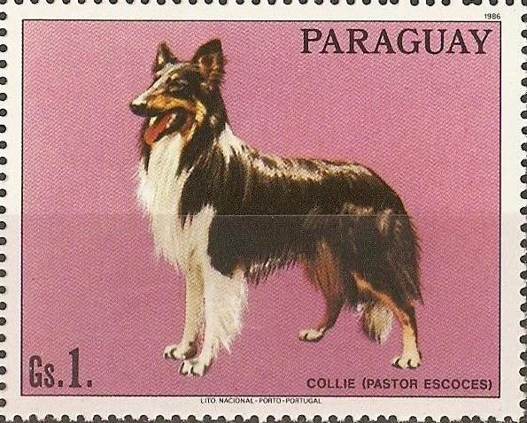 Perros de raza