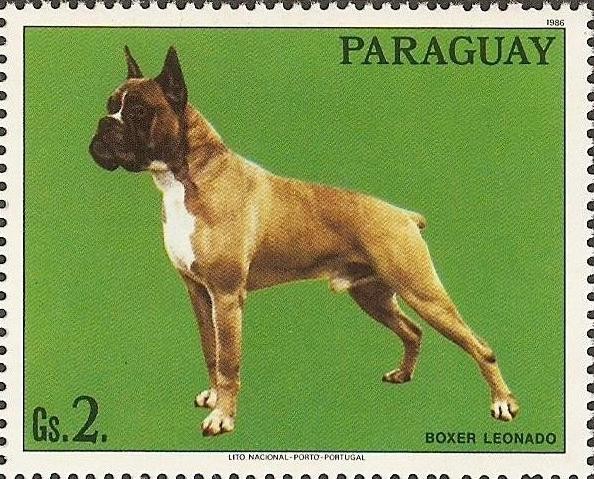 Perros de raza