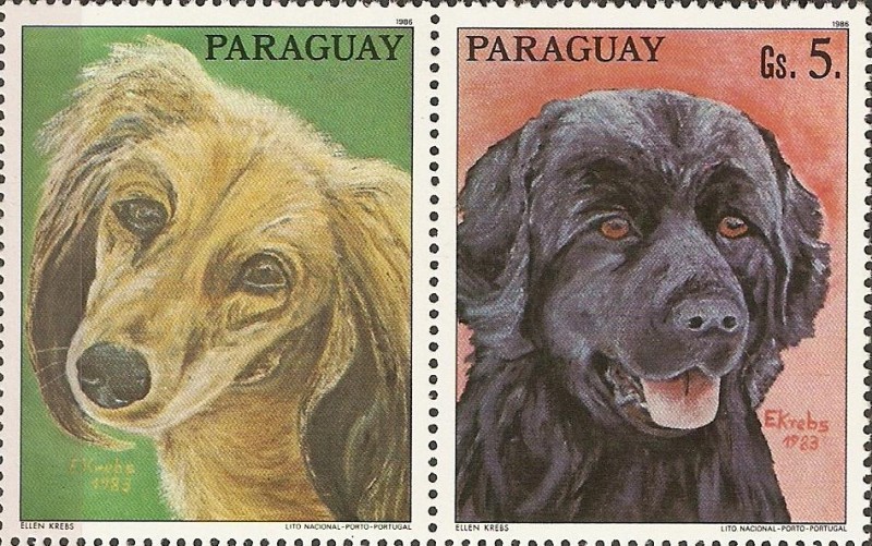 Perros de raza