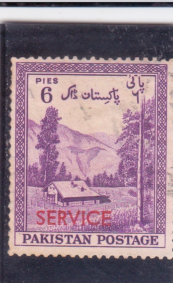 paisaje-service