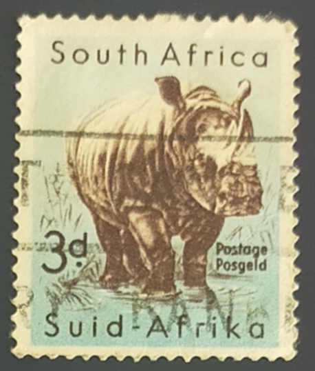 Cerototherium simum