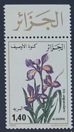 RESERVADO MANUEL BRIONES