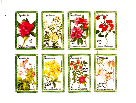 FLORES