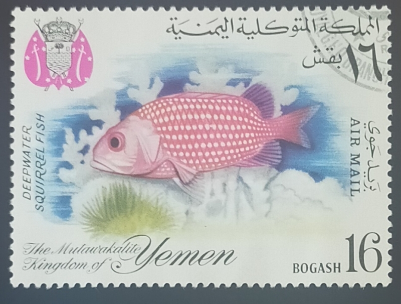 Deepwater Squirrelfish (Sargocentron bullisi)